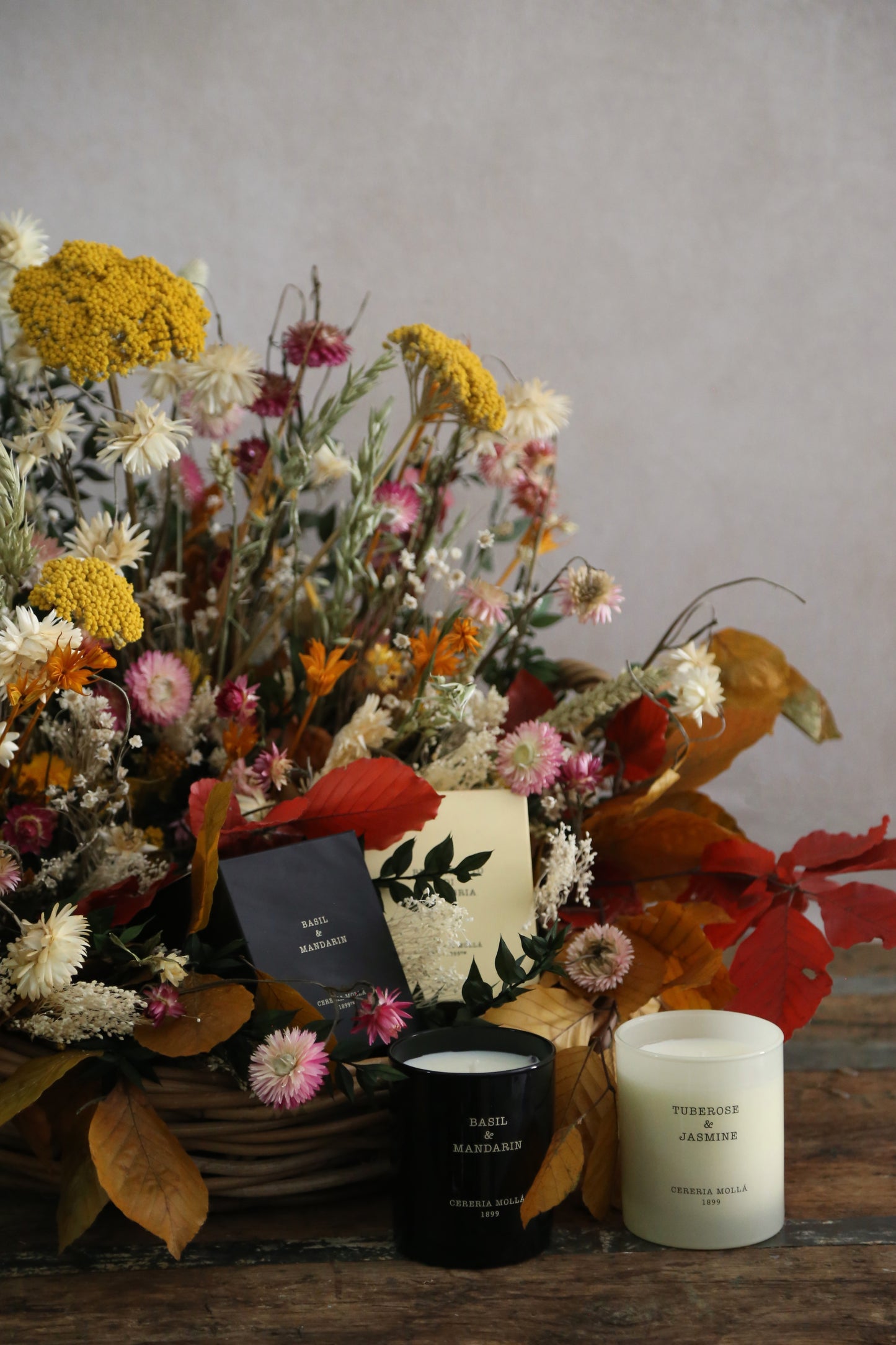 JARDÍN SECOS&PRESERVADOS + 2 VELAS