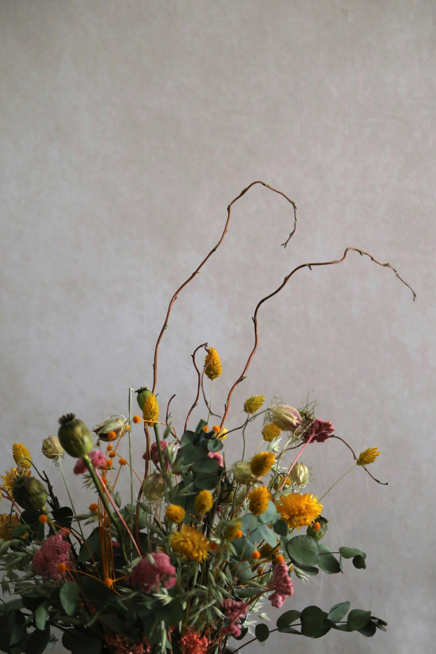 MACETA SECOS&PRESERVADOS