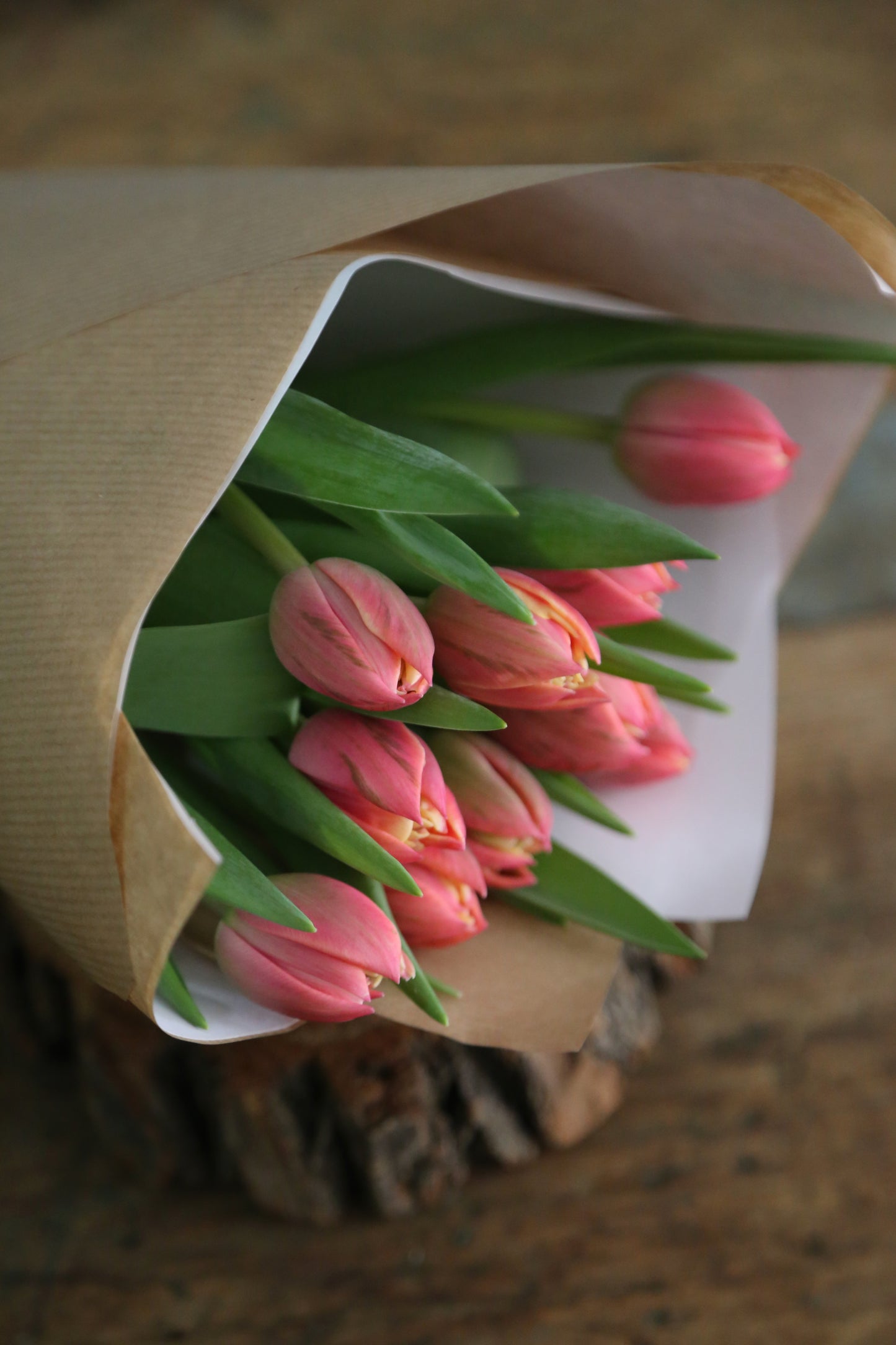 TULIPANES