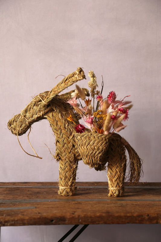 BURRO ESPARTO