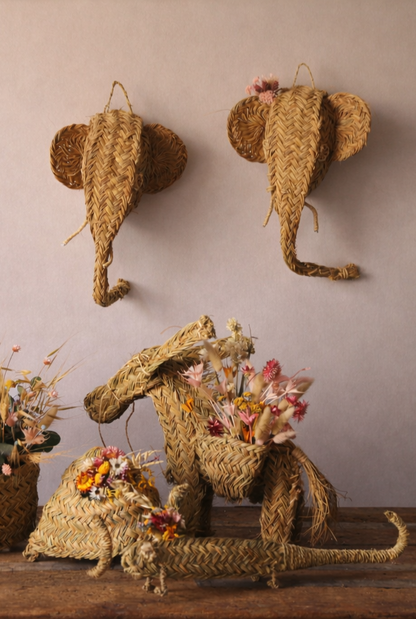 ELEFANTE ESPARTO